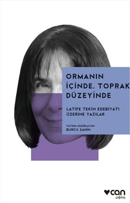 Ormanın İçinde, Toprak Düzeyinde resmi