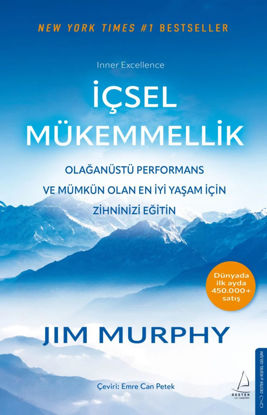 İçsel Mükemmellik resmi