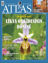 Atlas-Haziran-2026 resmi