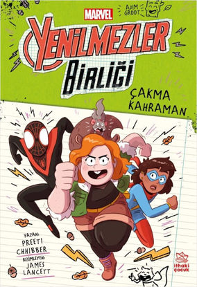 Marvel Yenilmezler Birliği -2 Çakma Kahraman resmi