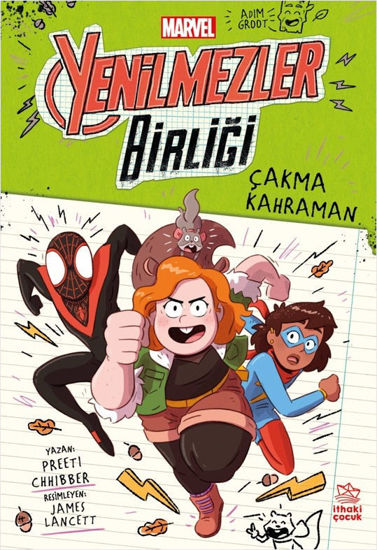 Marvel Yenilmezler Birliği -2 Çakma Kahraman resmi