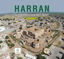 Harran Selahaddin Eyyubi Kale Sarayı – Harran II/2 resmi