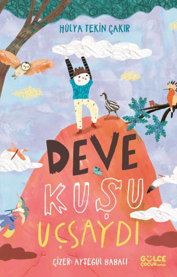Deve Kuşu Uçsaydı resmi