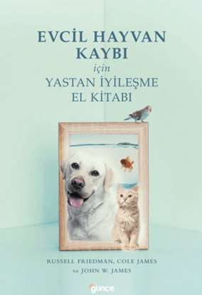 Evcil Hayvan Kaybı İçin Yastan İyileşme resmi