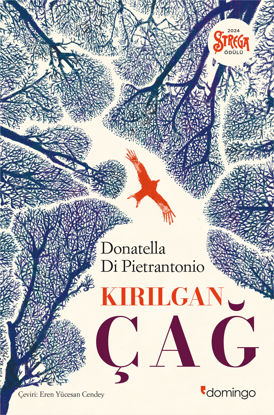 Kırılgan Çağ resmi