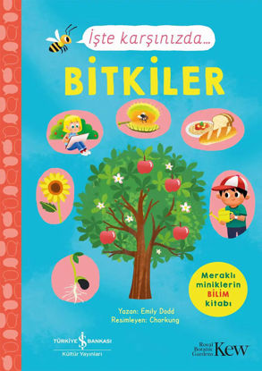 İşte Karşınızda…Bitkiler resmi