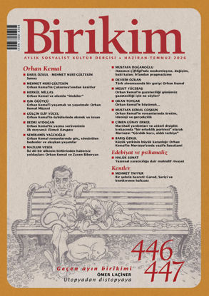 Birikim Dergisi Sayı-446-447 resmi