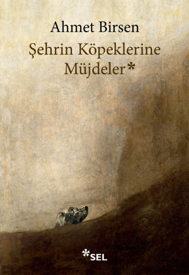 Şehrin Köpeklerine Müjdeler resmi