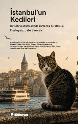 İstanbul'un Kedileri resmi