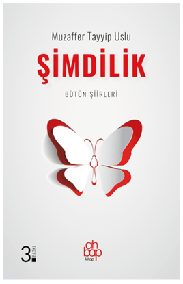 Şimdilik resmi