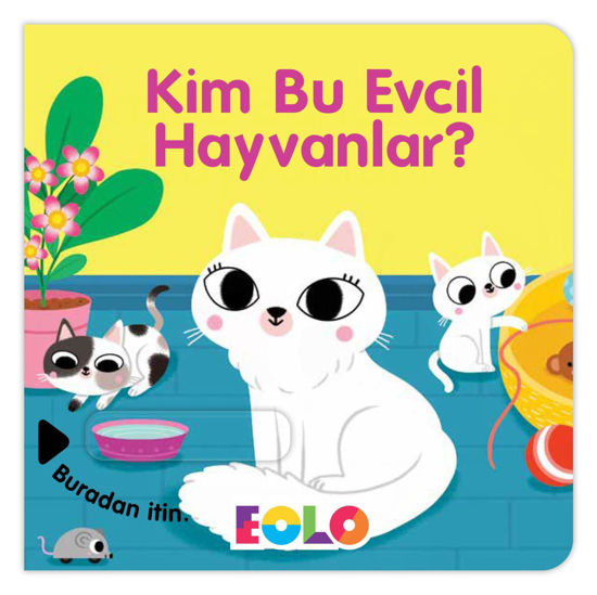Kim Bu Evcil Hayvanlar? resmi