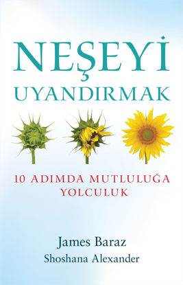 Neşeyi Uyandırmak resmi