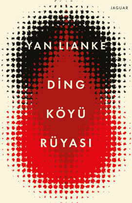 Ding Köyü Rüyası resmi