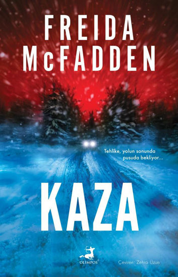 Kaza resmi