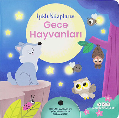 IŞIKLI KİTAPLARIM - GECE HAYVANLARI resmi
