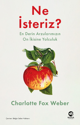 Ne İsteriz - En Derin Arzularımızın On İkisine Yolculuk resmi