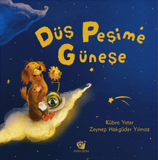 Düş Peşime Güneşe resmi
