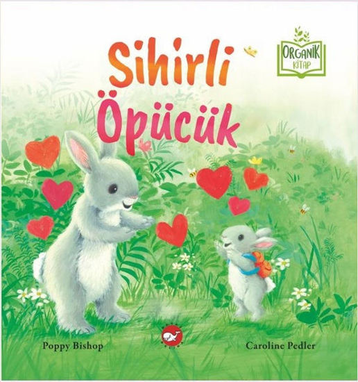 Sihirli Öpücük - Ciltli resmi