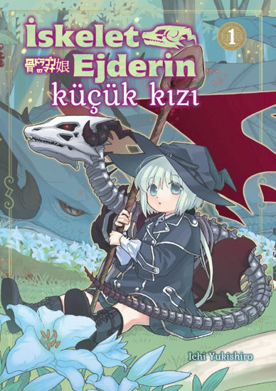 İskelet Ejderin Küçük Kızı 2 resmi