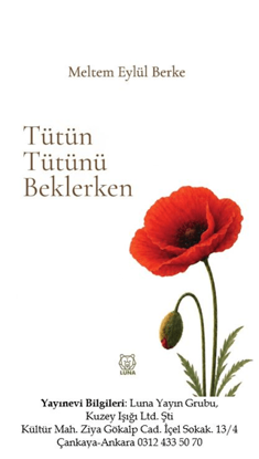 Tütün Tütünü Beklerken resmi