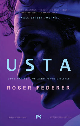Usta resmi