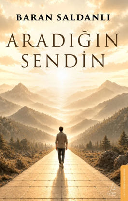 Aradığın Sendin resmi