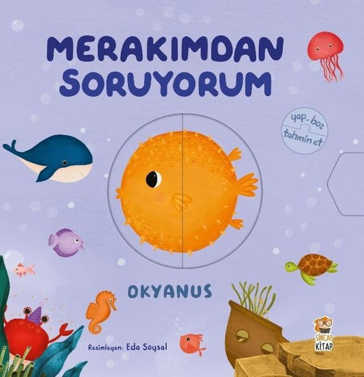 Merakımdan Soruyorum - Okyanus resmi