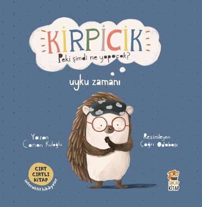 Kirpicik Peki Şimdi Ne Yapacak? Uyku Zamanı resmi