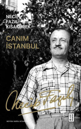 Canım İstanbul resmi