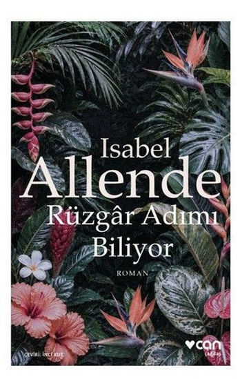 Rüzgâr Adımı Biliyor resmi