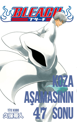 Bleach 47. Cilt resmi