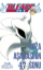 Bleach 47. Cilt resmi