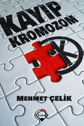 KAYIP KROMOZOM*BUZDAĞI* resmi