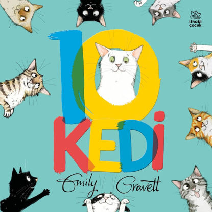 10 Kedi resmi