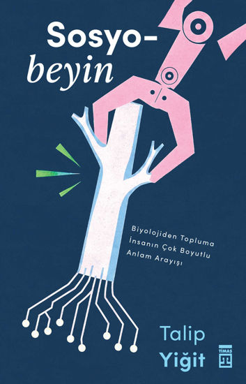 Sosyobeyin resmi