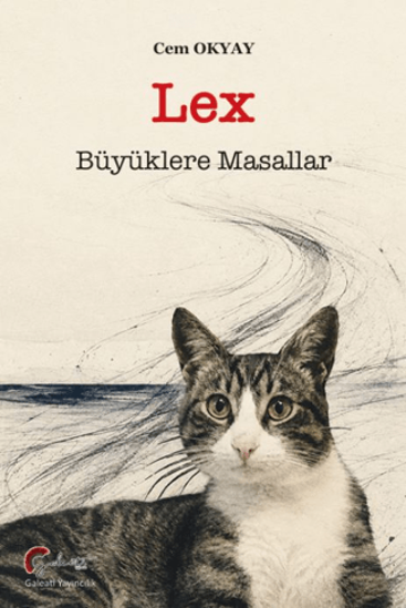 Lex - Büyüklere Masallar resmi