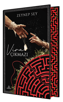 Vira Çıkmazı 1 - Ciltli resmi