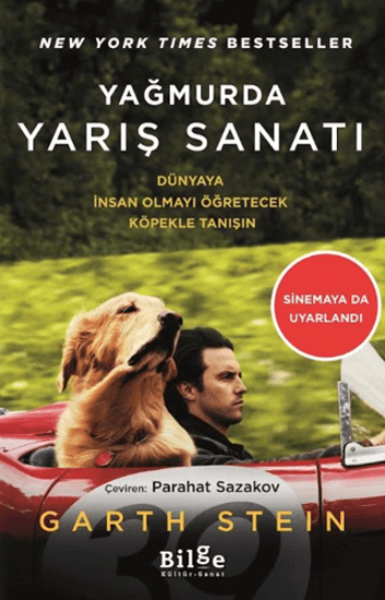 Yağmurda Yarış Sanatı resmi