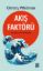 Akış Faktörü resmi