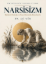 Narsisizm resmi