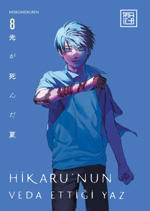 HIKARU'NUN VEDA ETTİĞİ YAZ - 8 resmi