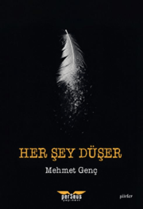 Her Şey Düşer resmi