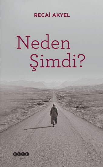 Neden Şimdi? resmi
