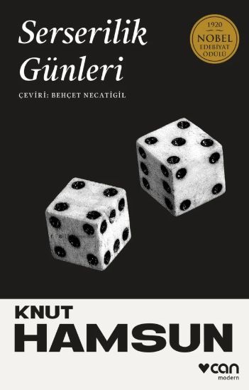 Serserilik Günleri resmi
