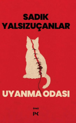 Uyanma Odası resmi