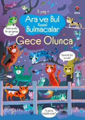 Ara ve Bul Resimli Bulmacalar - Gece Olunca resmi