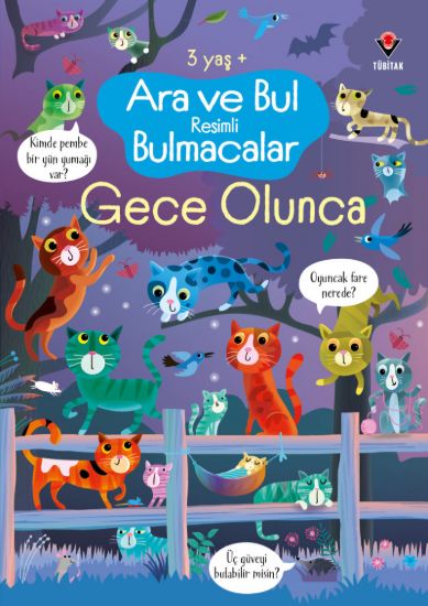 Ara ve Bul Resimli Bulmacalar - Gece Olunca resmi