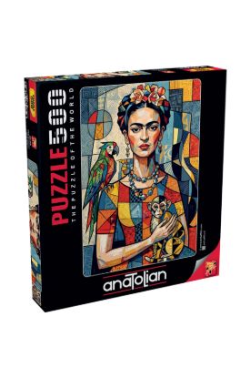 Frida ve Dostları 500P resmi
