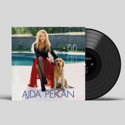 Ajda Pekkan - Eğlen Güzelim LP resmi